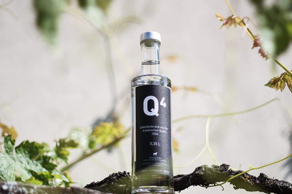 Dreamy Duke – Abbildung